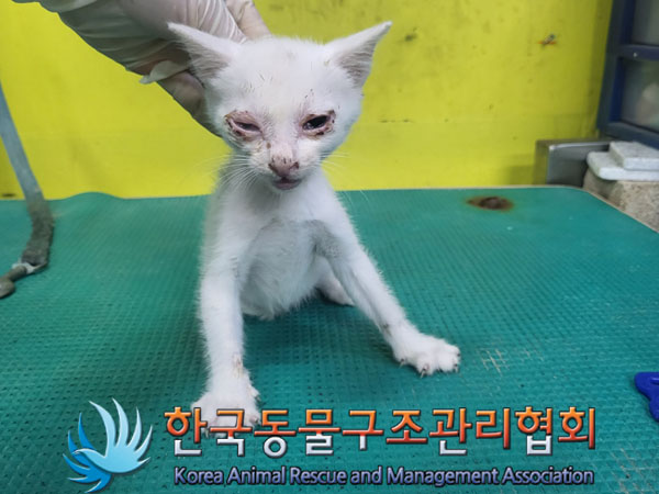 종료(자연사) 한국…